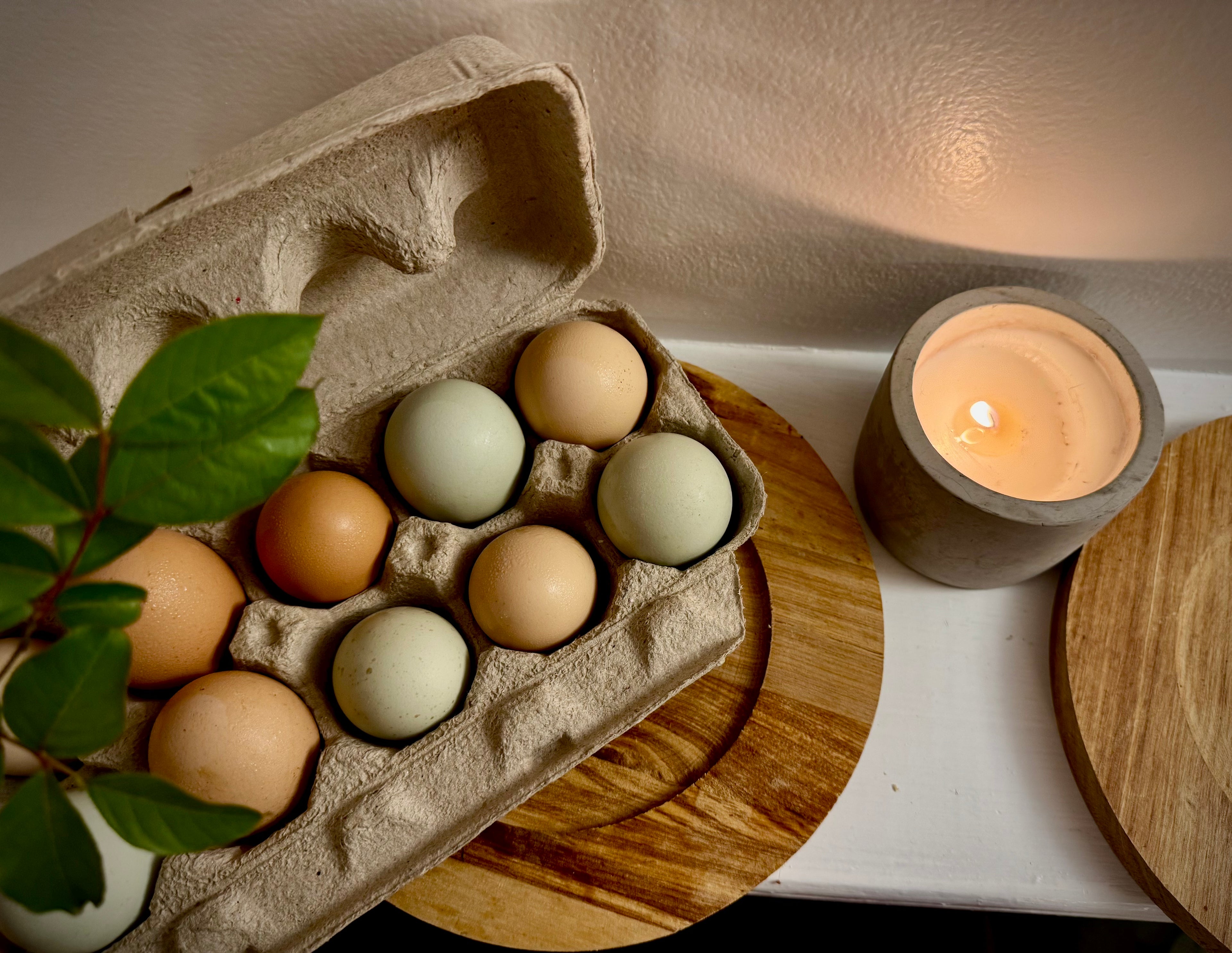 Chicken Eggs - Pasture Raised