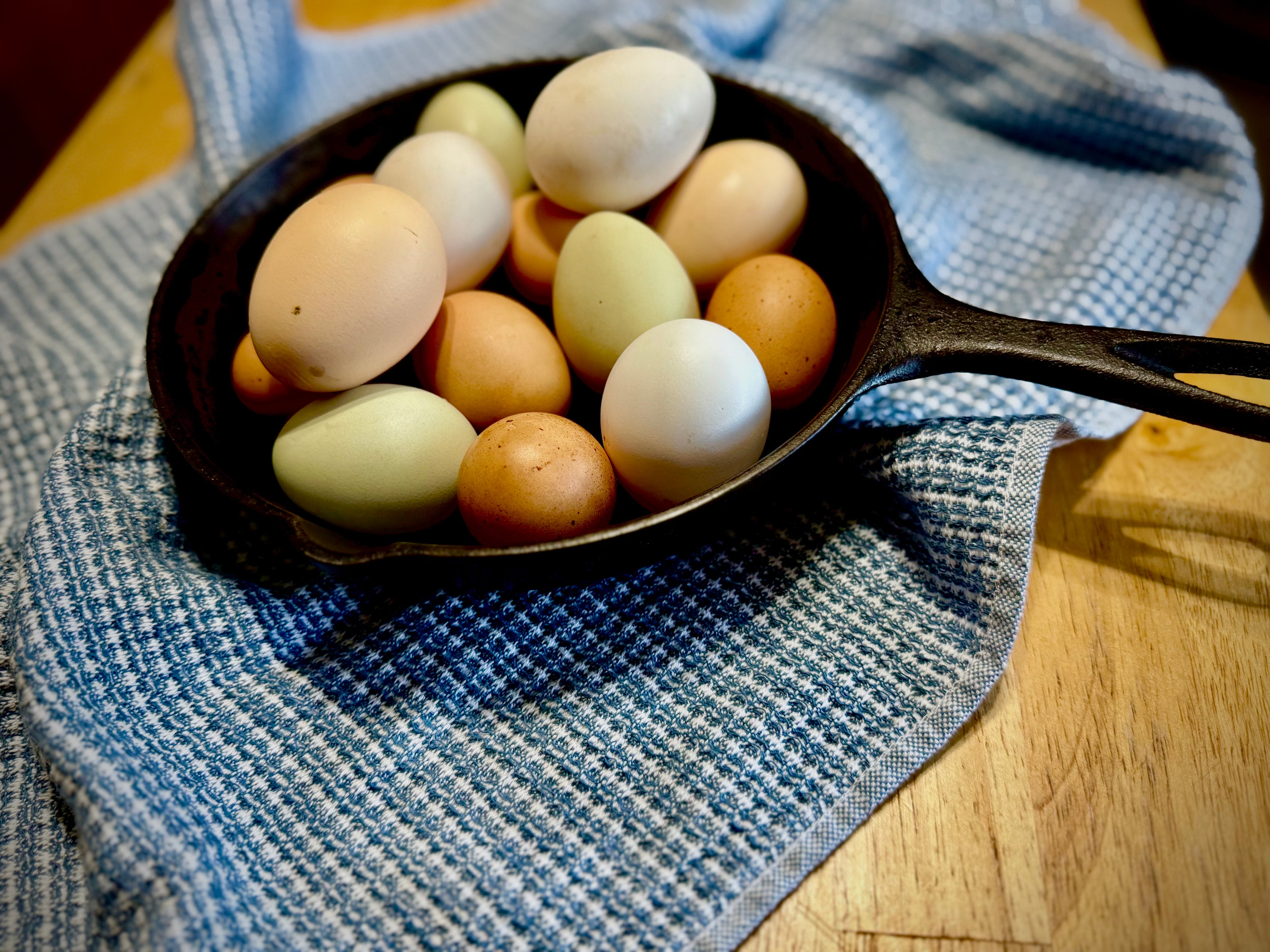 Chicken Eggs - Pasture Raised
